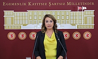 Yıldırım Kara: "MO, bu yıl da çiftçinin sesini duymadı"