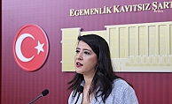 EMEP'li Karaca, Kaman Fen Lisesi'ndeki eziyet iddialarını Meclis gündemine taşıdı
