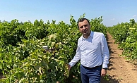 span style=color:#ff0000Başevirgen#39;den çiftçiyi koruyacak üzüm fiyatı çağrısı: #34;150 TL#39;nin altı üretimi durdurur#34;/span