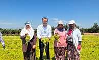 Bekir Başevirgen, Manisa, Ahmetli’de üzüm üreticilerini ziyaret etti