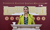 EMEP'li Karaca Akşehir’de kadın işçinin şiddete uğradığı iddiasını Meclis gündemine taşıdı