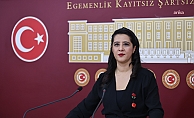 span style=color:#ff0000EMEP#39;li Karaca, Madran Dağı yangınını TBMM gündemine getirdi/span