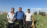 Ömer Fethi Gürer: “Pancar üreticisi fiyat bekliyor, çiftçinin beklentisi en az 4 bin lira”