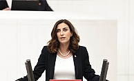 Rızvanoğlu: Orman yangınları nedeniyle av ihaleleri iptal  edilsin!