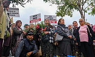 Akbelen'deki "acele kamulaştırma" kararına karşı açılan dava... İkizköy Muhtarı Işık: "Bugün verilecek emsal karar herkese umut olacak"