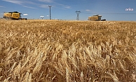 span style=color:#ff9900Yozgatta, daha fazla verim amaçlı deneme ekimlerinden olumlu sonuç alındı/span