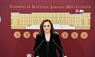 DEM Parti Sözcüsü Ayşegül Doğan: “Fon manipülasyonunun siyasi uzantıları açığa çıkarılmalı”