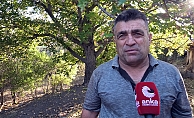 span style=color:#ff9900Yozgatta ceviz hasadı başladı... Üretici: #34;Her şey pahalandı, cevizde artış yok#34;/span