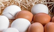 Sofraların vazgeçilmezi yumurta yüzde 400 zamlandı
