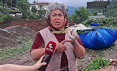 Hopalı çay üreticileri tepkili: "Çayı 16 liradan satıyoruz, işçilere 11 lira ödüyoruz. Kaç lira kalacak bize?"