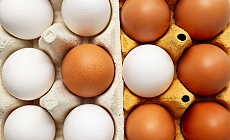Yumurta Fiyatları Uçmaya Devam Edecek
