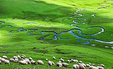 Korgan Yaylası'nda durdurulan maden sondaj çalışmaları yeniden başlatıldı