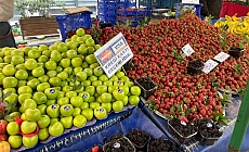 Pazarda yeni dönem… CHP’li Aşkın Genç: “Vatandaş fileyi kredi kartıyla dolduruyor”