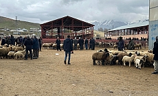 Van hayvan pazarında silahlı kavga: 1 ölü, 13 yaralı