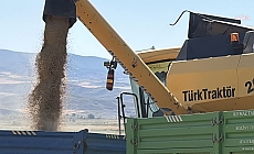 Yozgat’ta arpa hasadı başladı… Çiftçiler, fiyatların düşük olmasından dert yandı