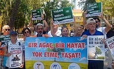 İzmir Dr. Suat Seren Göğüs Hastalıkları Hastanesi’nde ağaç kıyımı iddiası: “Doğa katliamının eşiğindeyiz”