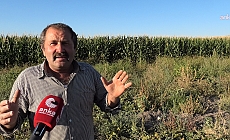 Yozgatlı çiftçi: “Bu destekler nereye gidiyor?”